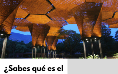 Diseño biofílico: la tendencia que declama “amor a la vida” y todo lo que debes saber sobre ella.